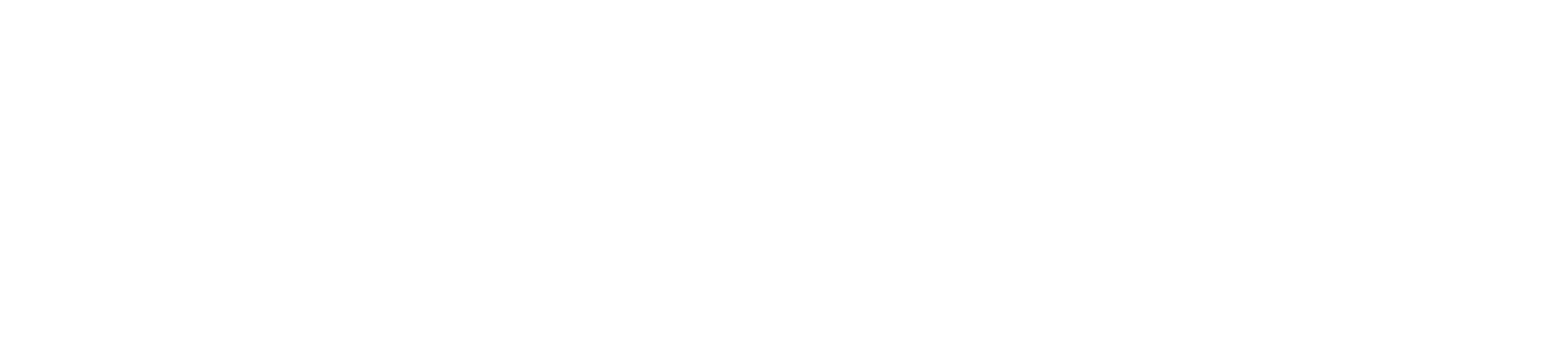 Carsonix Logo